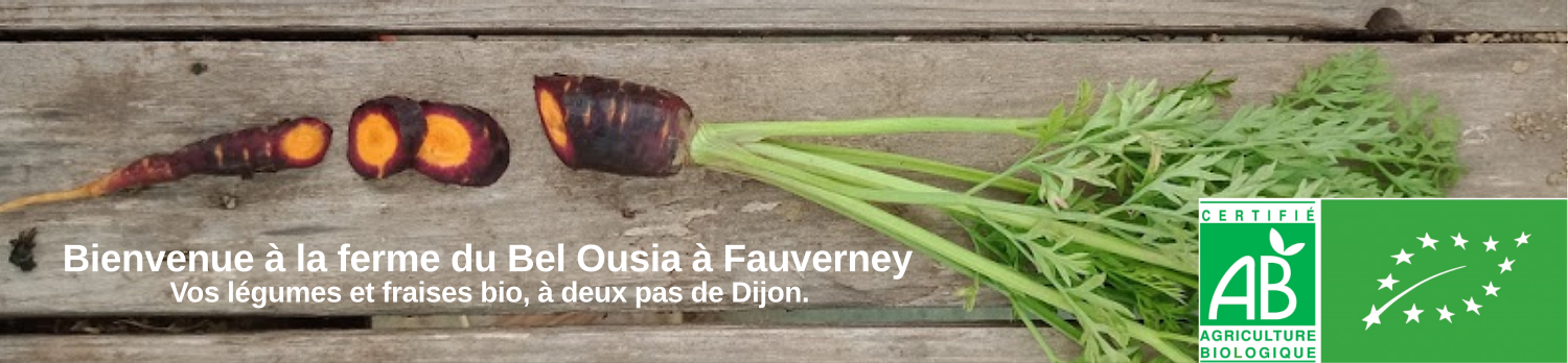 bannière la Ferme biologique du Belousia à Fauverney 21