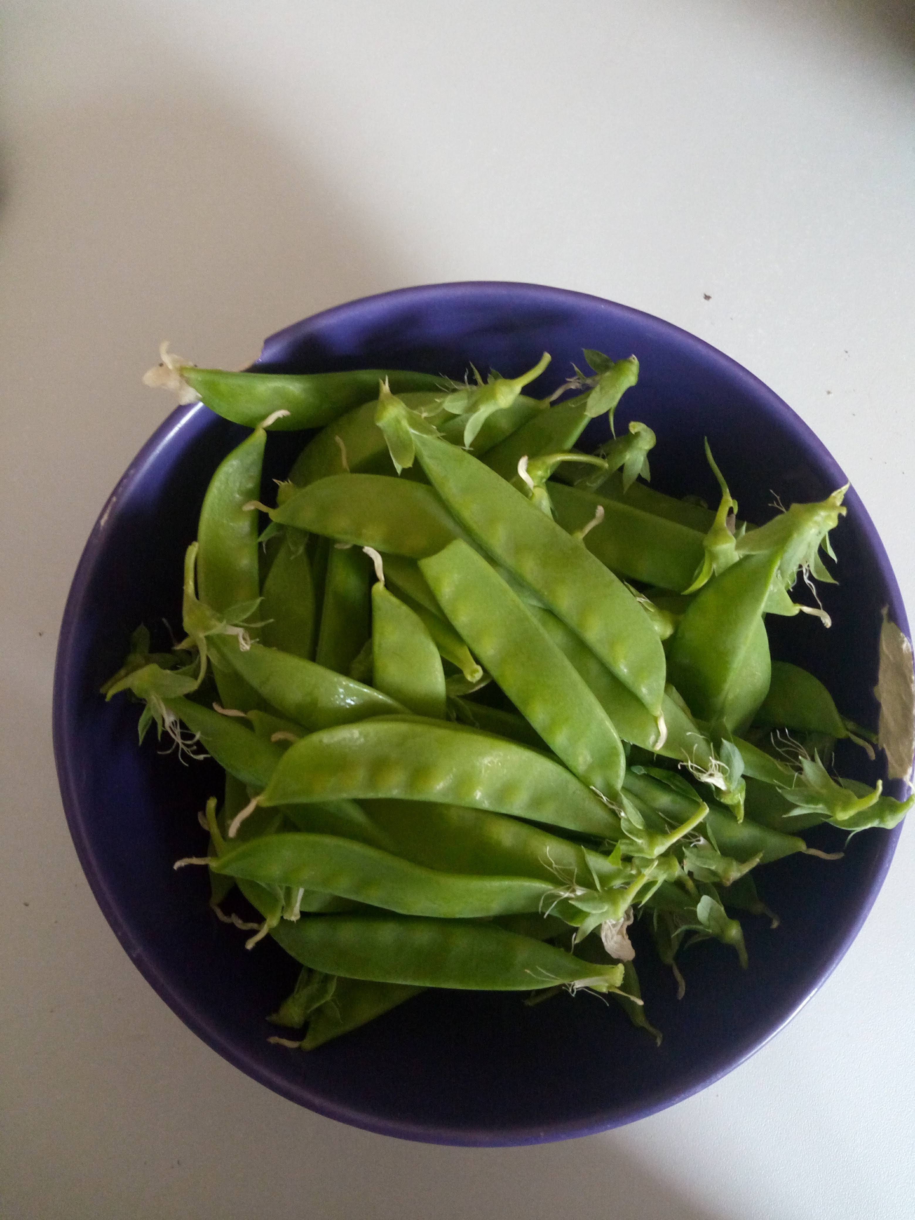 bol de pois gourmands