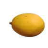 courge_spaghetti-removebg-preview