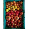 tomates