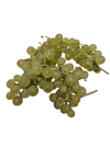chasselas_dore