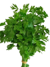 persil_plat-removebg-preview