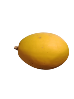 courge_spaghetti-removebg-preview