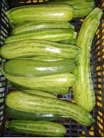 courgettes_nimba
