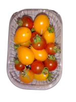 tomates_cerise_en_melange-removebg-preview