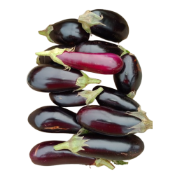 aubergines-removebg-preview_822010903