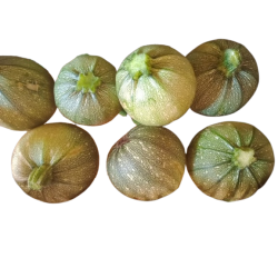courgettes_rondes_de_nice-removebg-preview