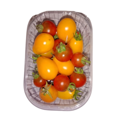 tomates_cerise_en_melange-removebg-preview