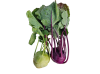 choux_raves
