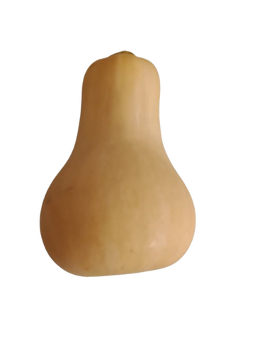 courge butternut