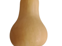 courge butternut