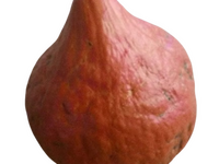 potimarron